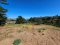 Verídika vende en Reñaca hermosos terrenos de 500m2