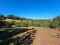 Veridika vende en Reñaca hermosos terrenos de 700m2