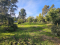 Vendo terreno de 5580m2 en sector Los Laureles Limache