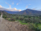 Vendo hermosas parcelas planas en sector Quebrada Alvarado..